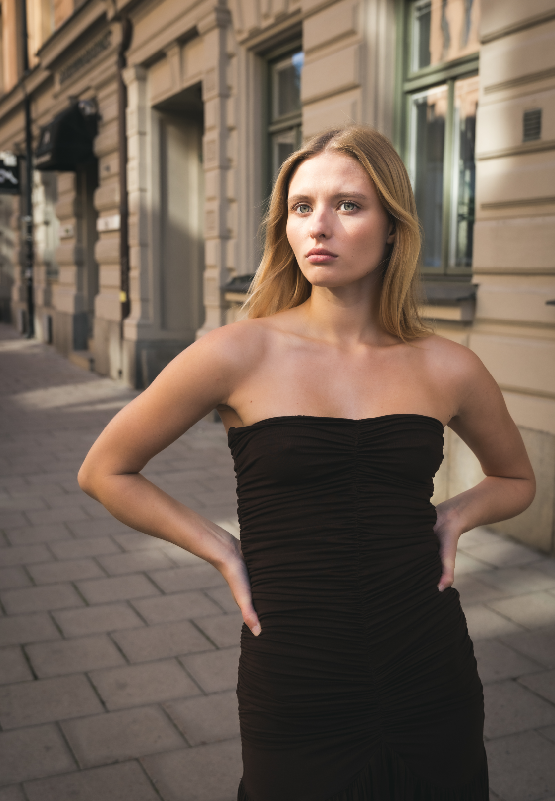ALVA DRESS / MÖRKBRUN